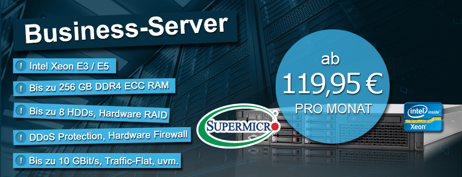 Dedicated Business Server